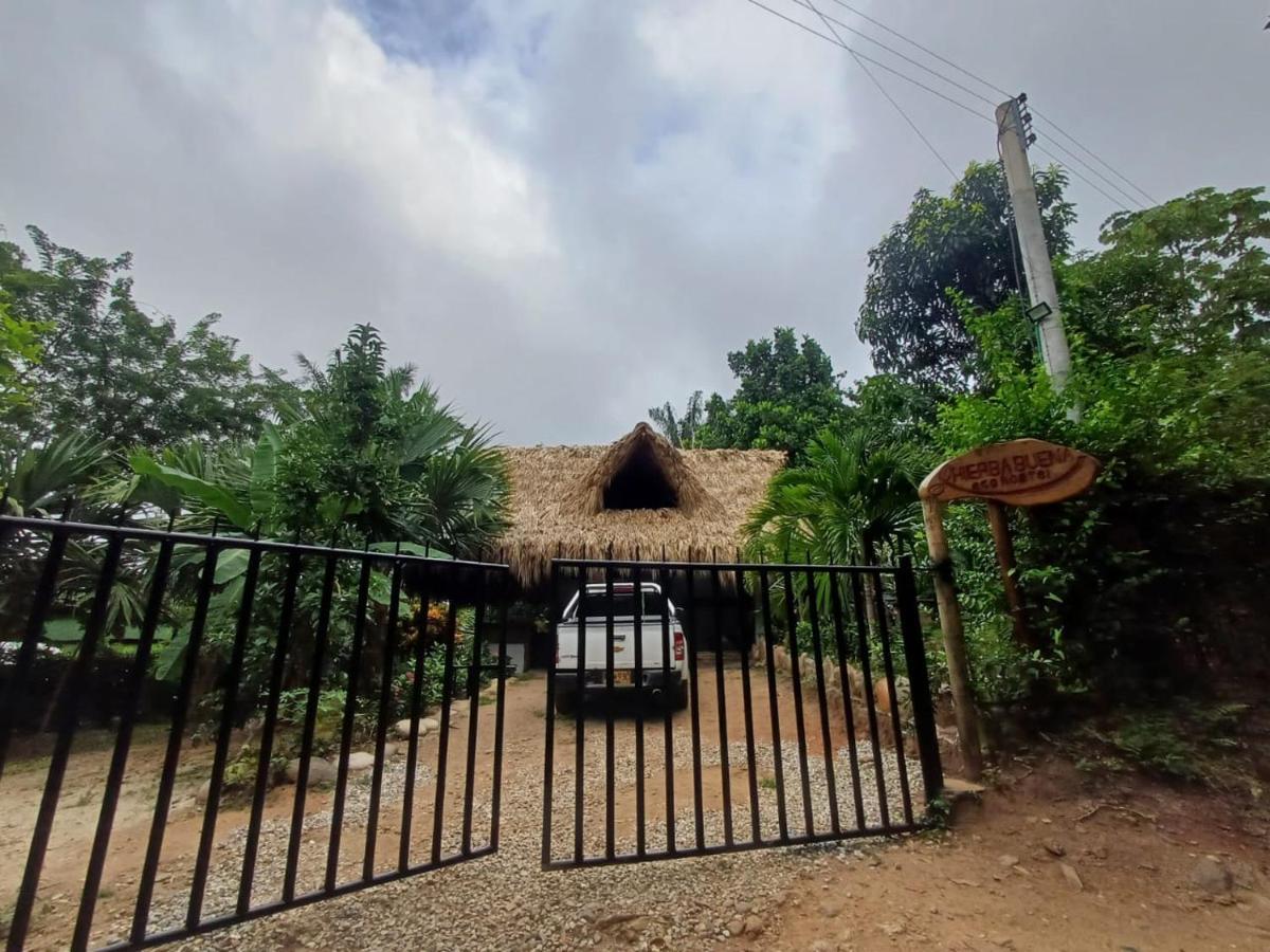 אל סאינו Hierba Buena Eco Hostel מראה חיצוני תמונה
