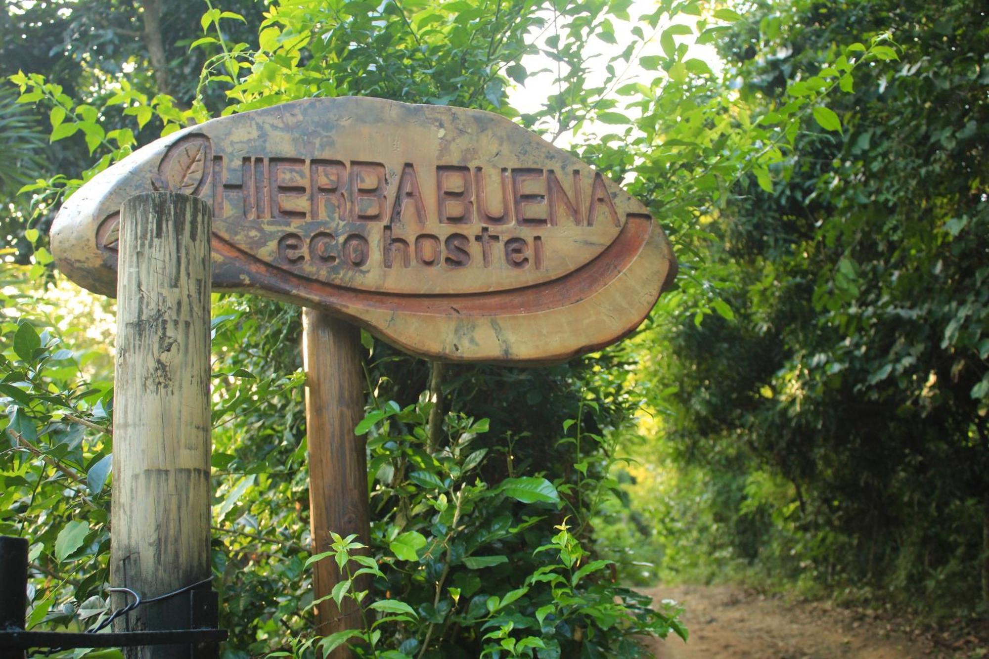 אל סאינו Hierba Buena Eco Hostel מראה חיצוני תמונה